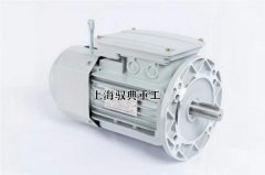 鋁殼剎車電機是什么樣的_優(yōu)質(zhì)電動機生產(chǎn)廠家（馭典重工）